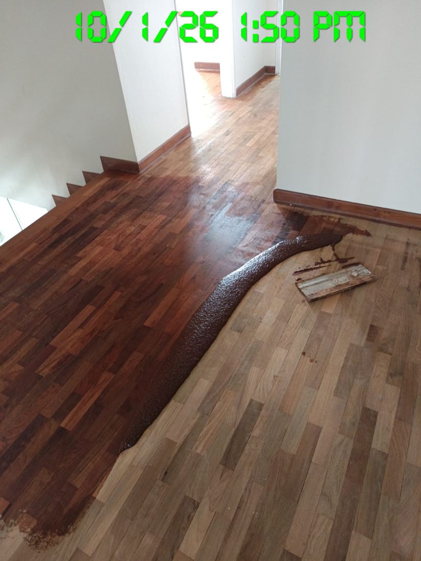 First coat of varnish being applied over freshly sanded parquet